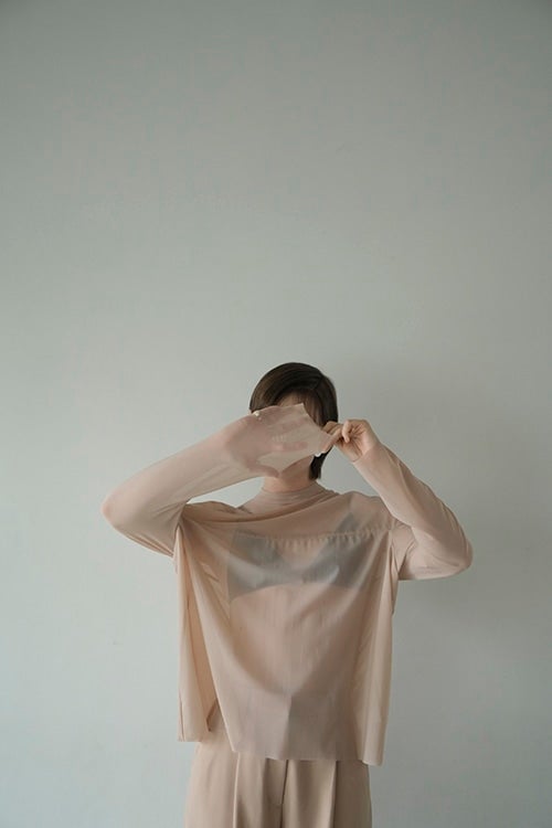 SHEER MESH CURVE SLEEVE TOPS