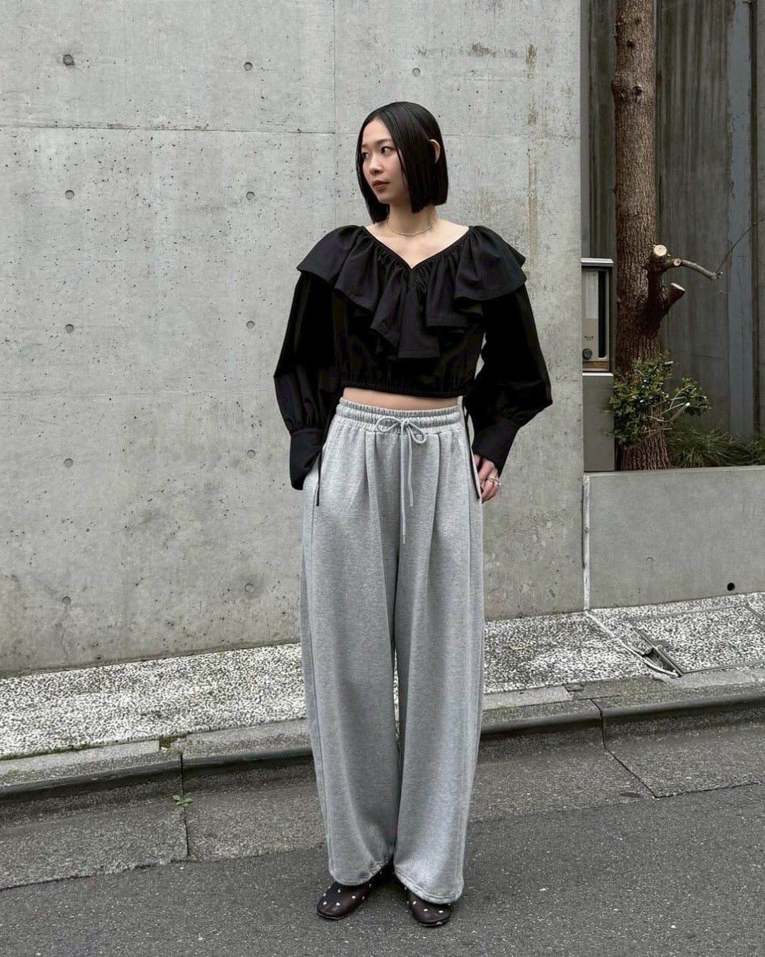 Oguma / 175 cm / SHOP STAFF