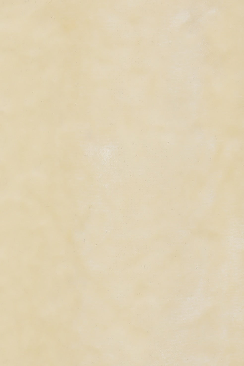 VELOUR CAPRI PANTS｜SKIRT/PANTS(スカート/パンツ)｜CLANE OFFICIAL