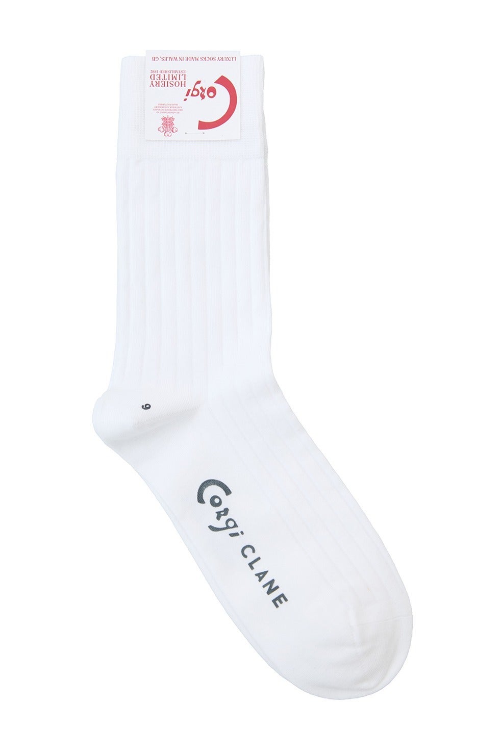 CLANE×CORGI FINE GAUGE RIB SOX｜GOODS(グッズ)｜CLANE