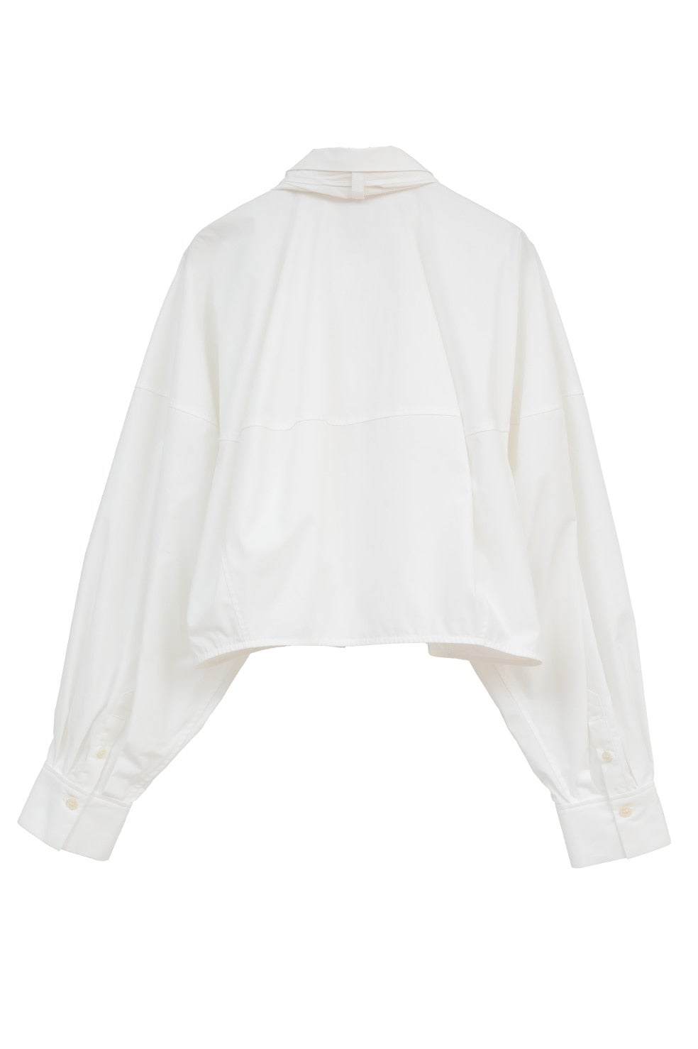 RIBBON TIED COMPACT SHIRTS｜TOPS(トップス)｜CLANE OFFICIAL ONLINE